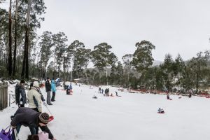 Corin snowfields2