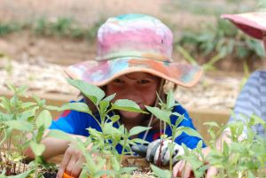 Girl gardening Orana