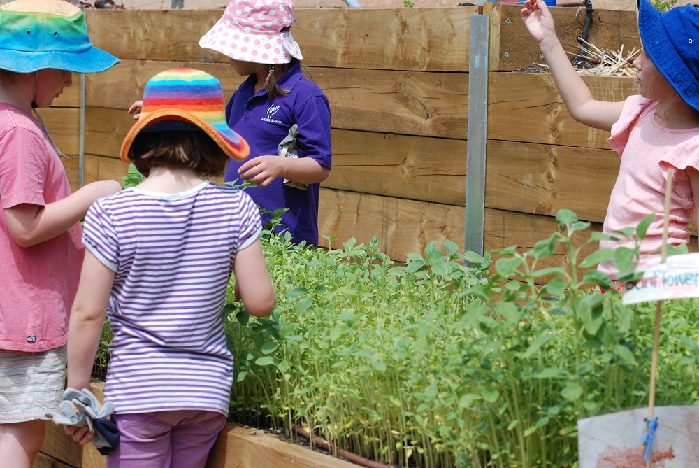 Girls in veggie patch